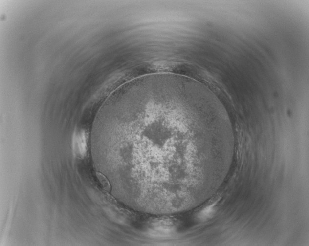 X0000055990075200508261735