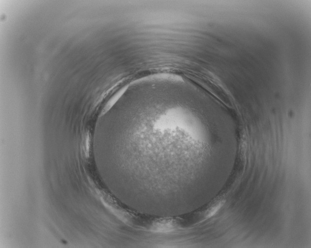 X0000055990076200508261735