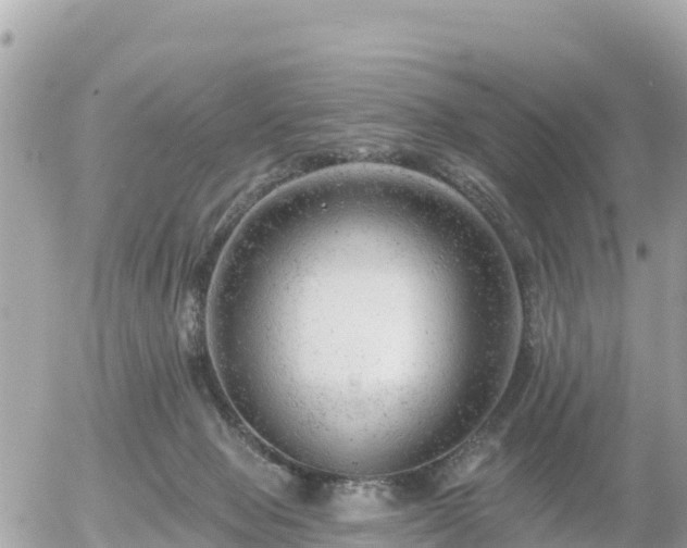 X0000055990077200508261735