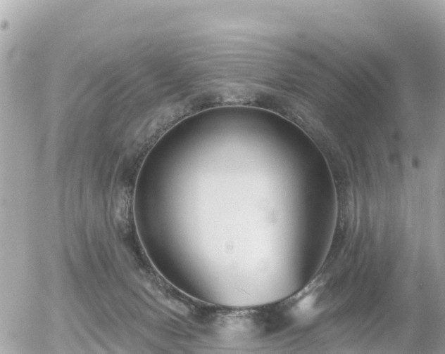 X0000055990078200508261735