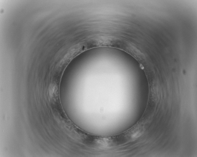 X0000055990079200508261735