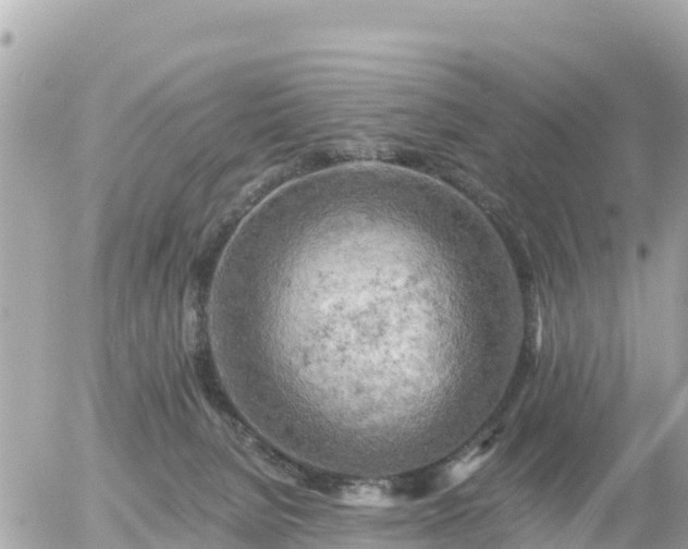 X0000055990080200508261735