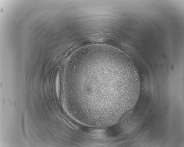 X0000055990081200508261735