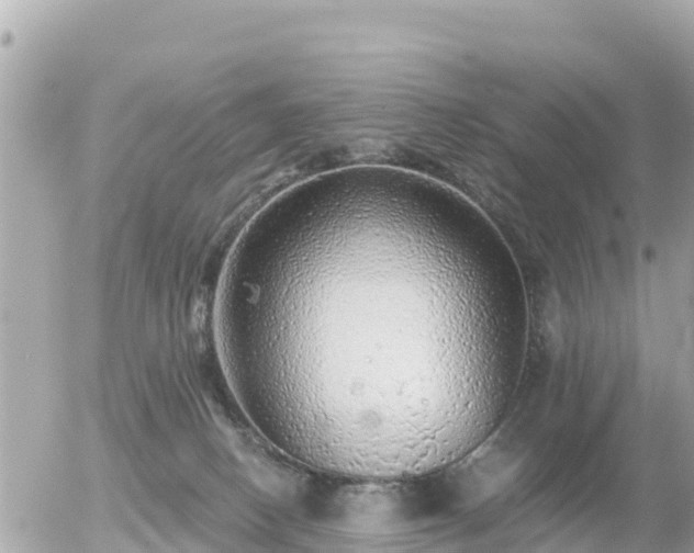 X0000055990082200508261735