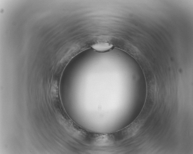 X0000055990083200508261735