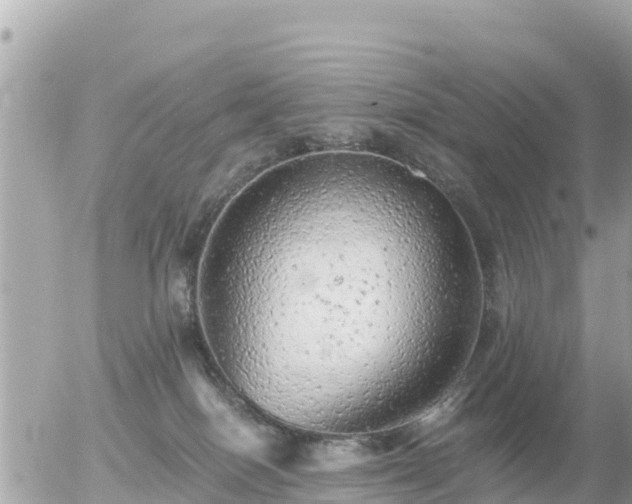 X0000055990086200508261735