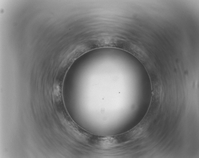 X0000055990087200508261735