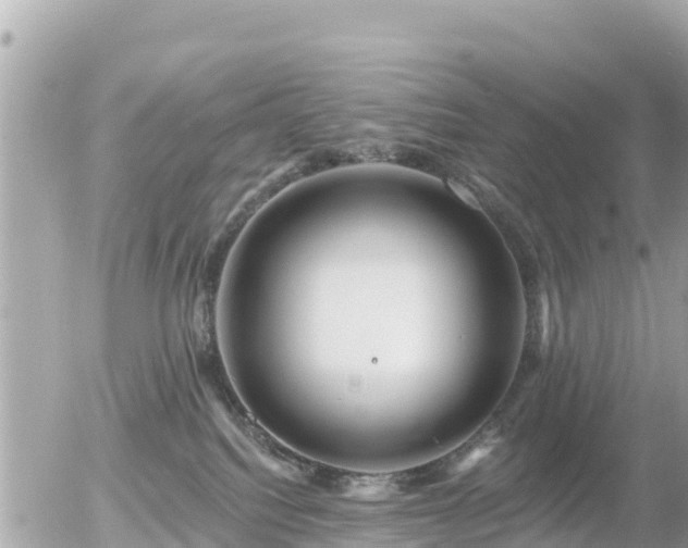 X0000055990088200508261735