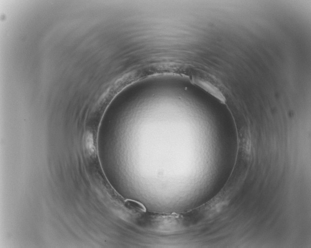 X0000055990089200508261735