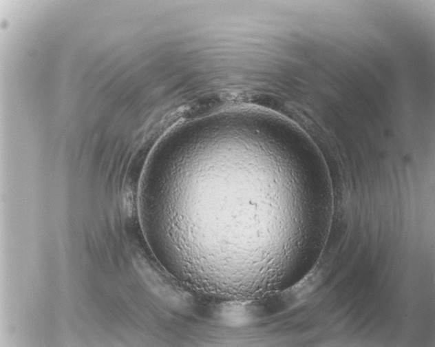 X0000055990090200508261735