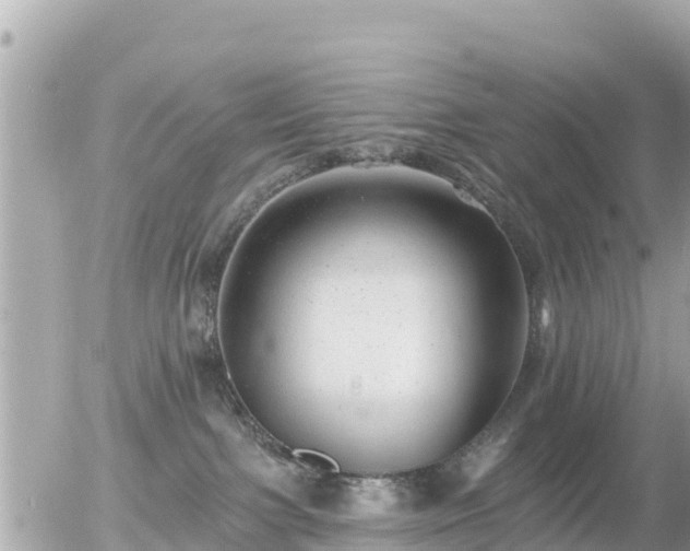 X0000055990091200508261735