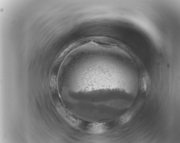 X0000055990093200508261735