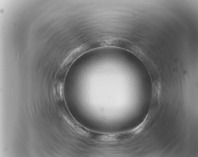 X0000055990094200508261735