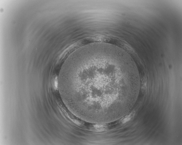 X0000055990095200508261735