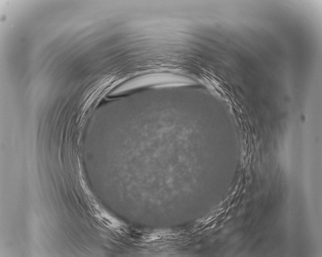 X0000055990097200508261734