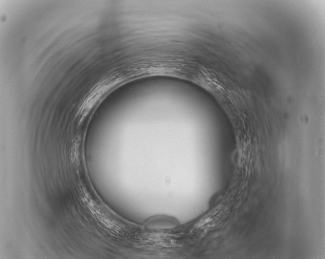 X0000055990098200508261734