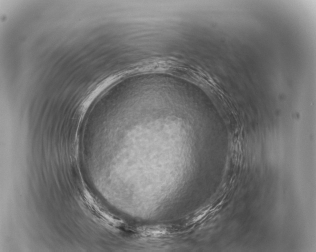 X0000055990100200508261734