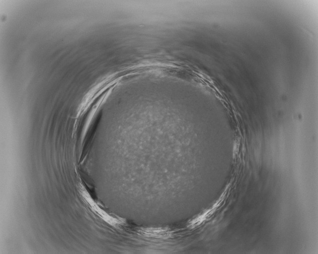 X0000055990101200508261734