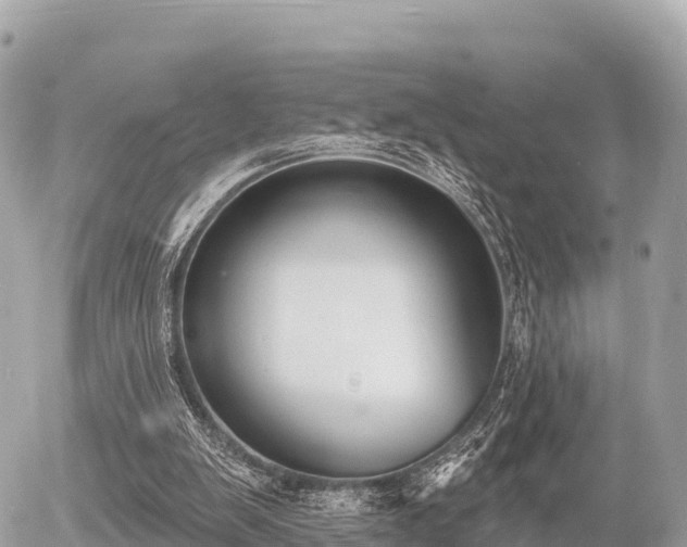 X0000055990103200508261734