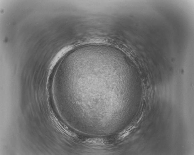 X0000055990104200508261734