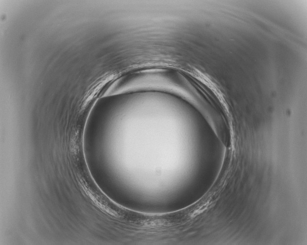 X0000055990105200508261734