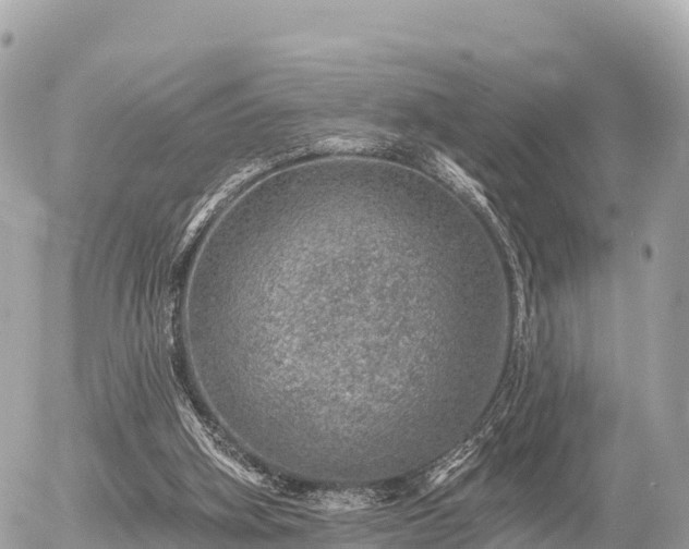 X0000055990106200508261734