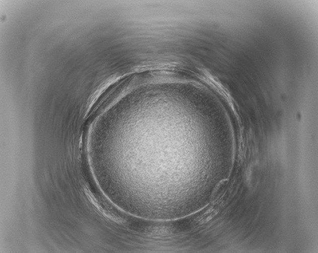 X0000055990107200508261734