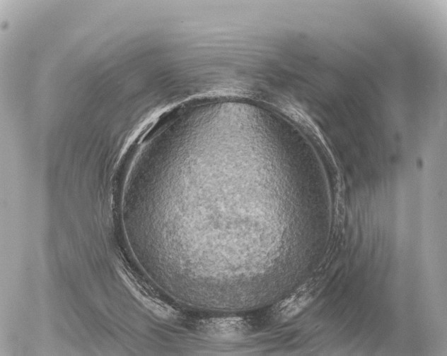 X0000055990108200508261734