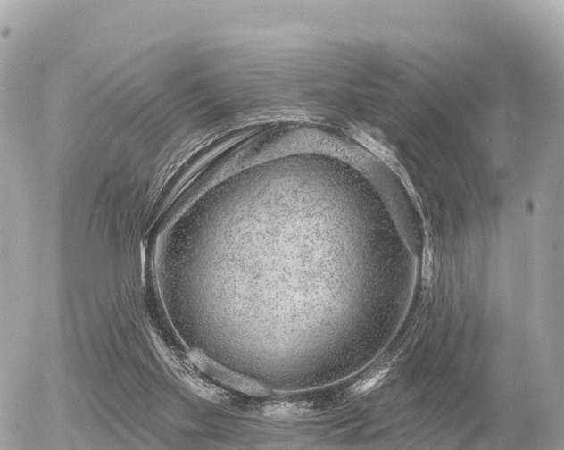 X0000055990109200508261734