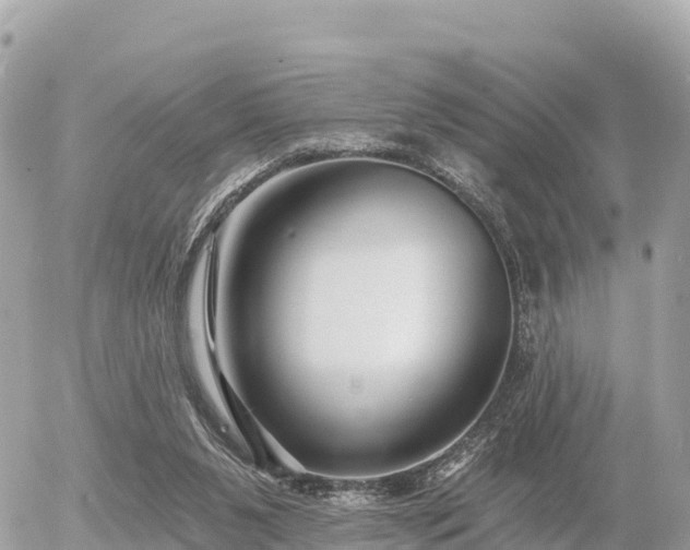 X0000055990111200508261734