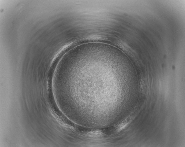 X0000055990112200508261734