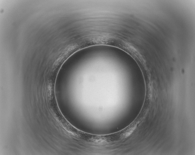 X0000055990113200508261734