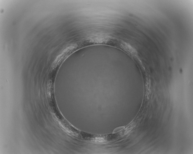 X0000055990114200508261734