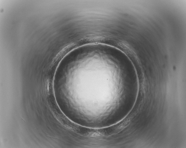 X0000055990115200508261734