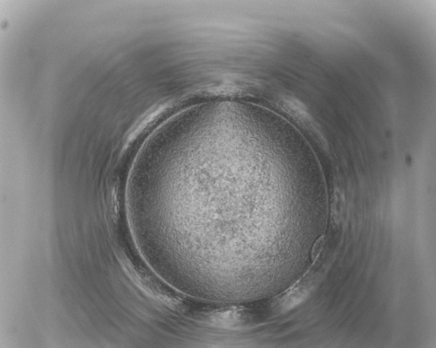 X0000055990116200508261734