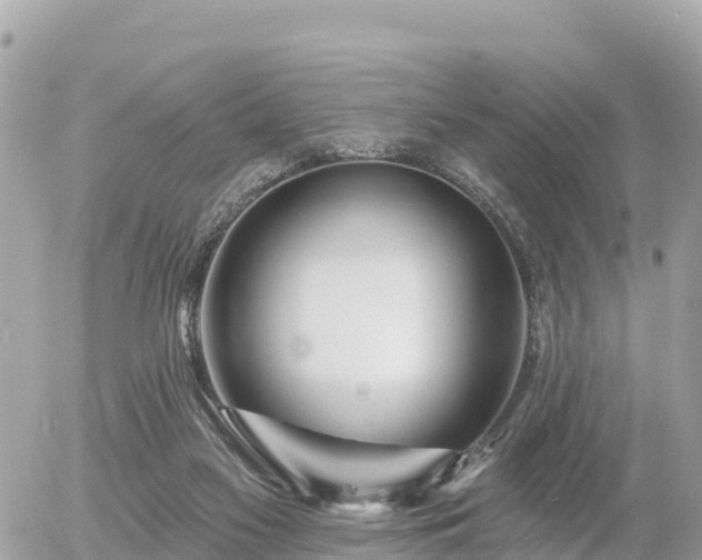 X0000055990117200508261734