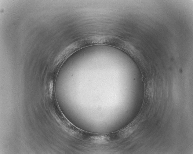 X0000055990118200508261734