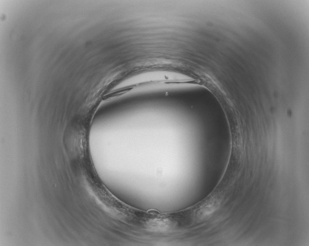 X0000055990119200508261734