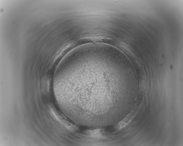 X0000055990120200508261734