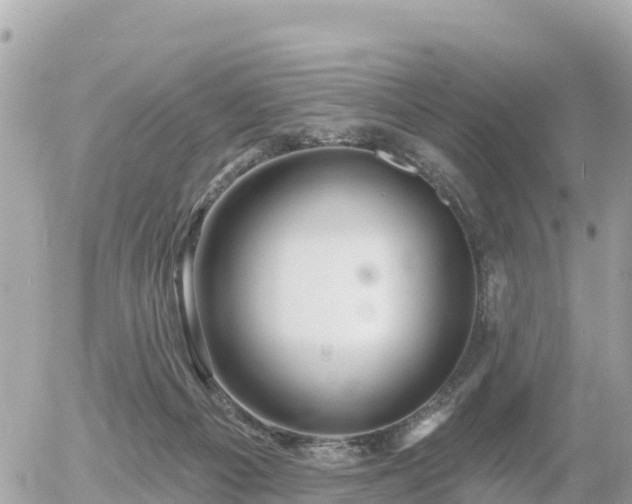 X0000055990121200508261734