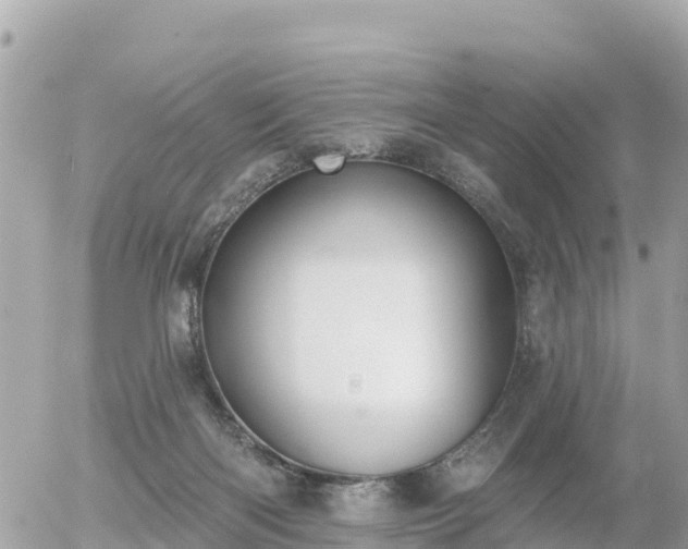 X0000055990122200508261734