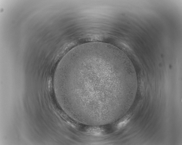 X0000055990123200508261734