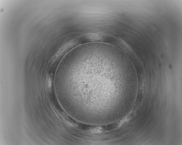 X0000055990124200508261734