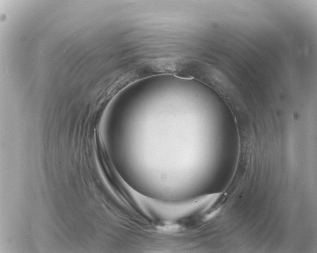 X0000055990125200508261734