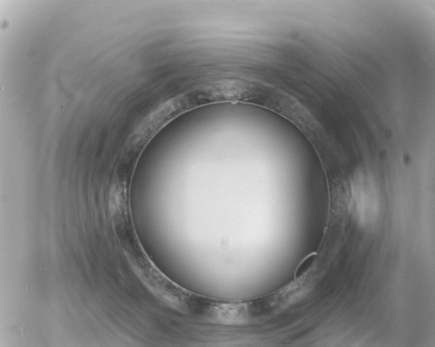 X0000055990126200508261734