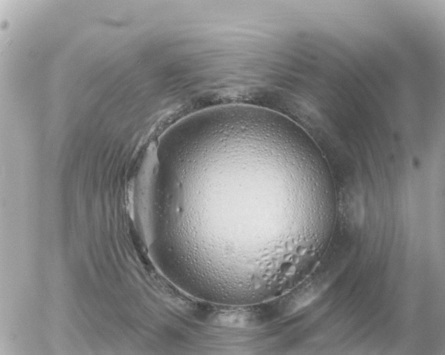 X0000055990127200508261734