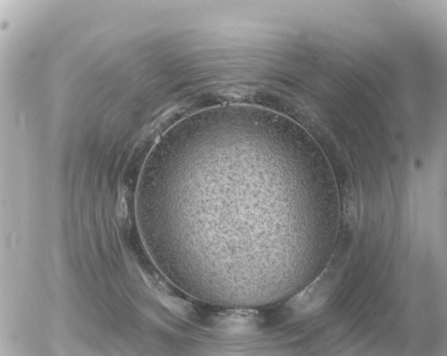 X0000055990128200508261734