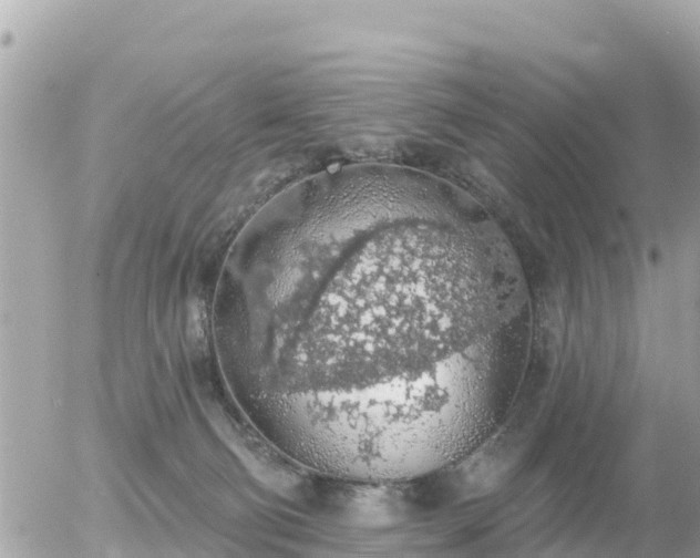 X0000055990130200508261734