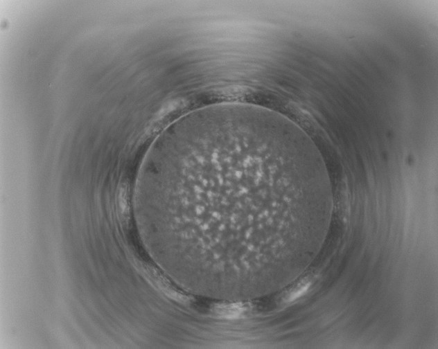 X0000055990131200508261734