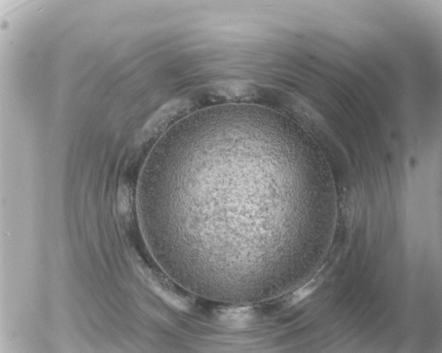 X0000055990132200508261734